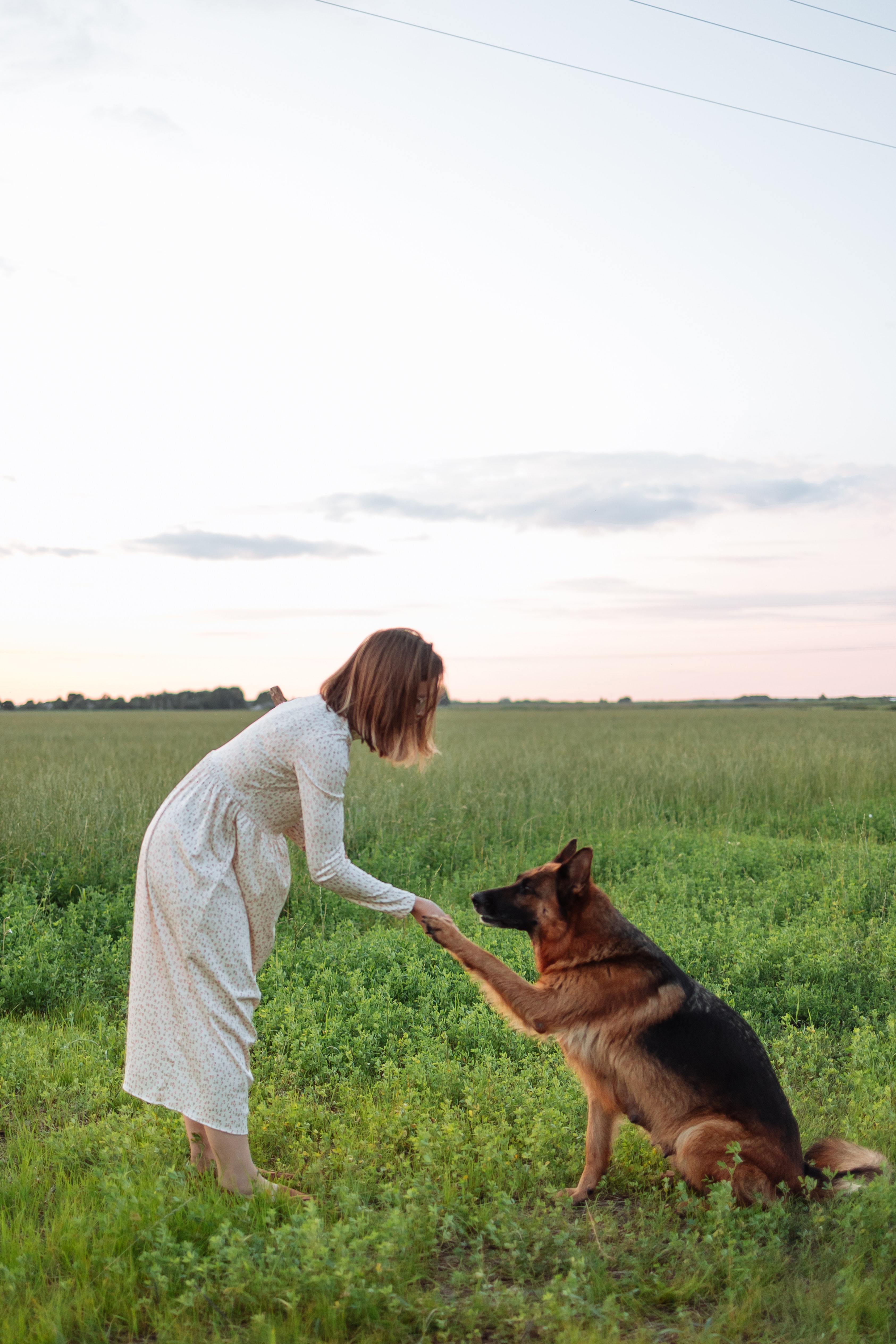 Dog practicing loose leash walking and checking in with owner